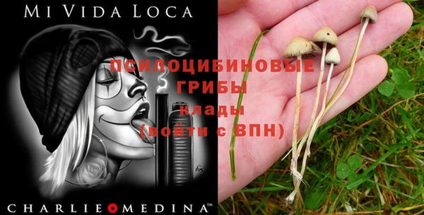 гашишное масло Ладушкин