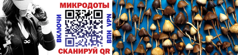 Галлюциногенные грибы мухоморы  kraken ссылки  Приволжский 